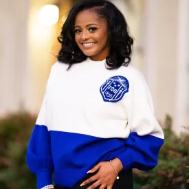 Zeta Blue & White Color Block Sweater